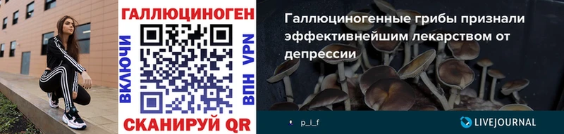 omg онион  Почеп  Псилоцибиновые грибы GOLDEN TEACHER 